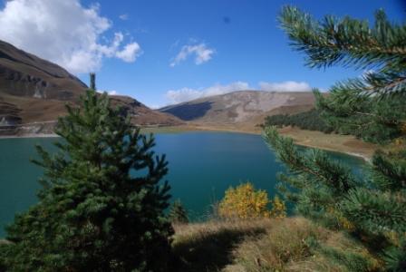 Магомедрасул Мамуков