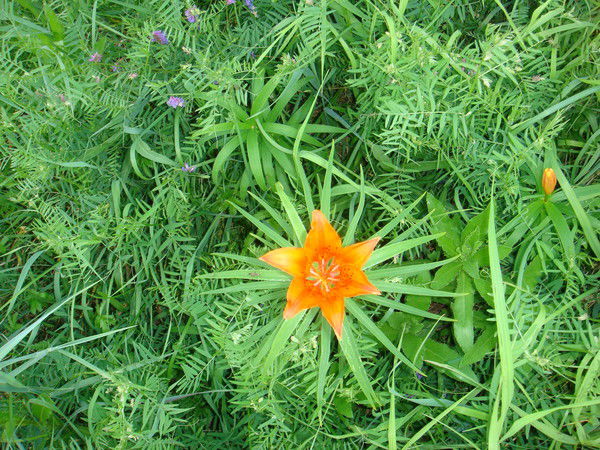 Наталья Устюжина