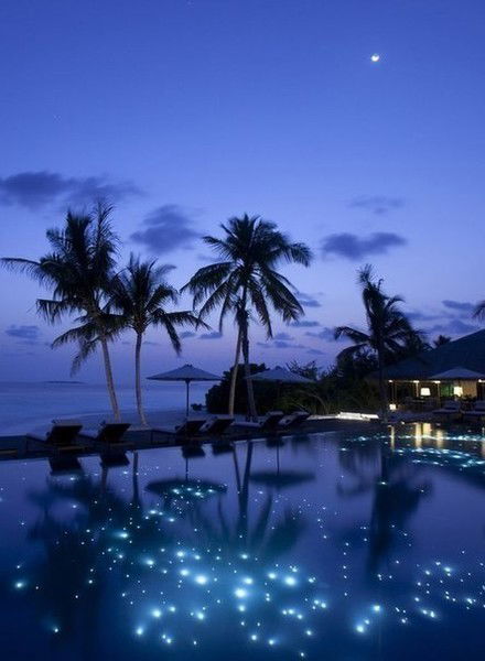 Vip Talas Aidana Jumabekova