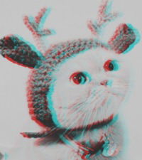 Антон Шулепов