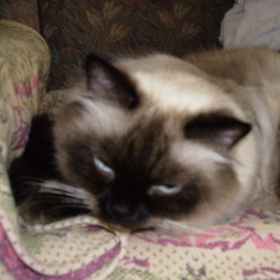 Мамочка Тёмочки