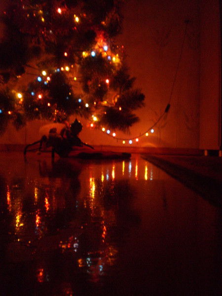 Евгения Ивкина