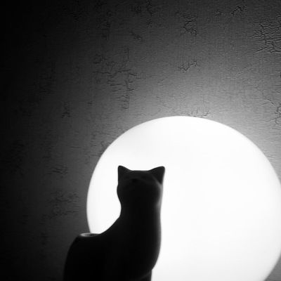 Наталья Селезнева