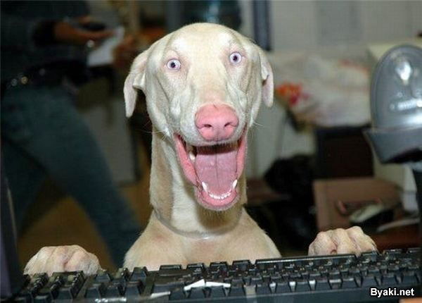 Валерий Роговенко