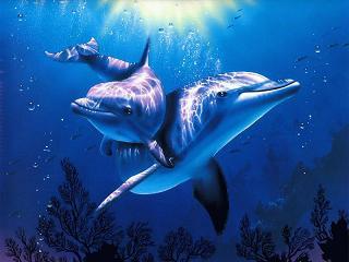 Евгения Морозова