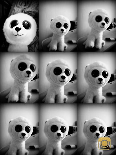 Лиана Ведерникова