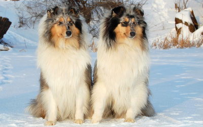 Вика Безлюдская