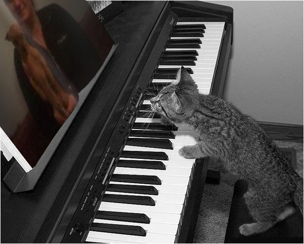 Ирина Тумак