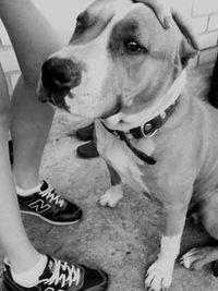 Лиза Жоголь