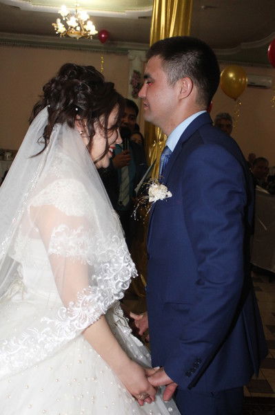 ***ди*** **********