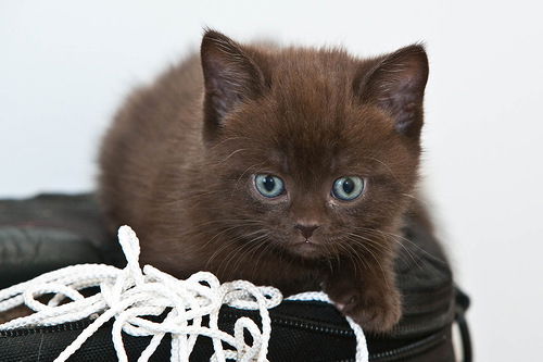 Олька Задруцкая