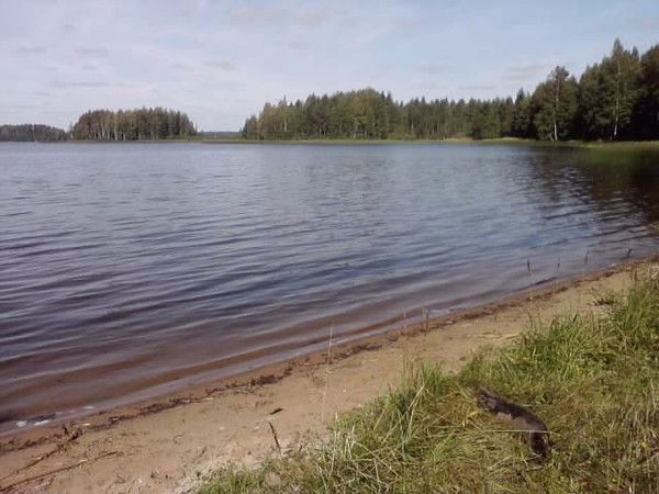 Татьяна Матвеева