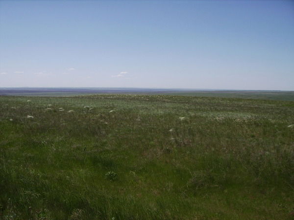 Ильфак Шигапов