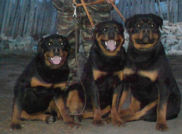 Юлия И Олег Кузнецовы