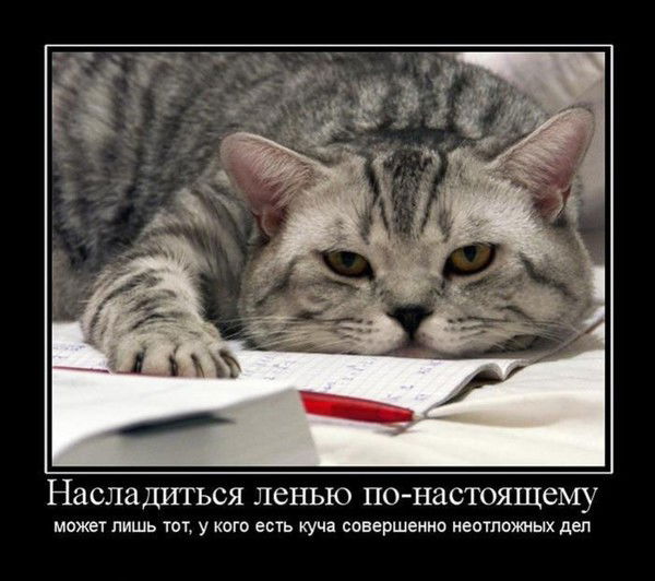 Николай Александров