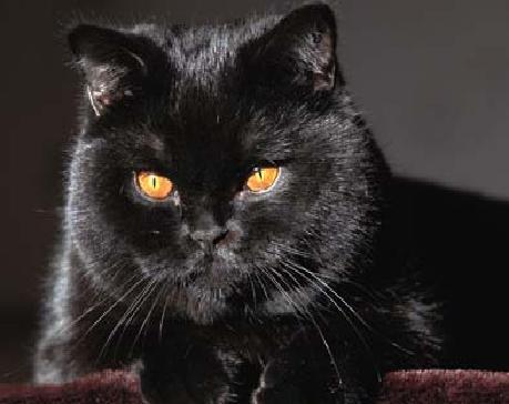 Андрей Смагин