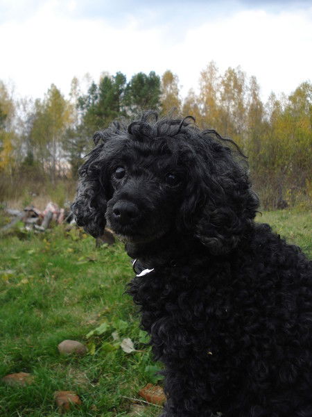 Ирина Симанович