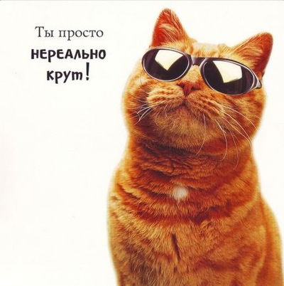 Кирилл Хлемончнеко