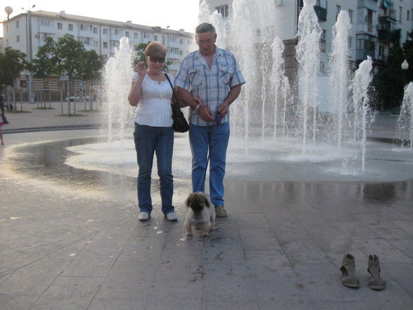 Светлана Белогорцева