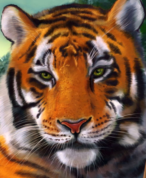 Вячеслав __Зион__