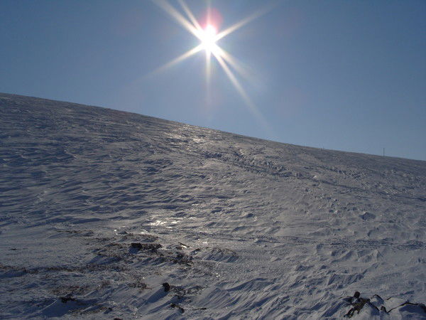 Оксана Попова