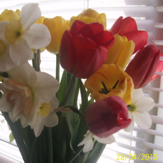 Алексей Савченко