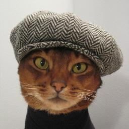 Никита Строцкий