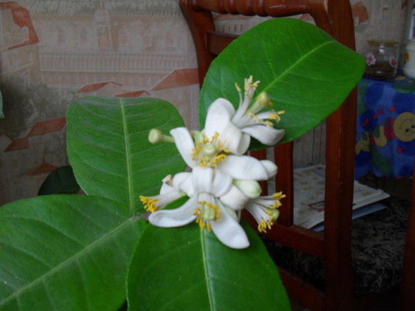 Cергей Алпатов