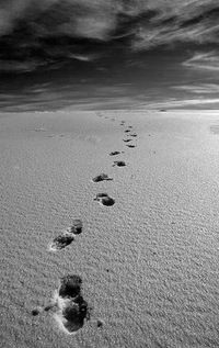 Иннуля Назаркина