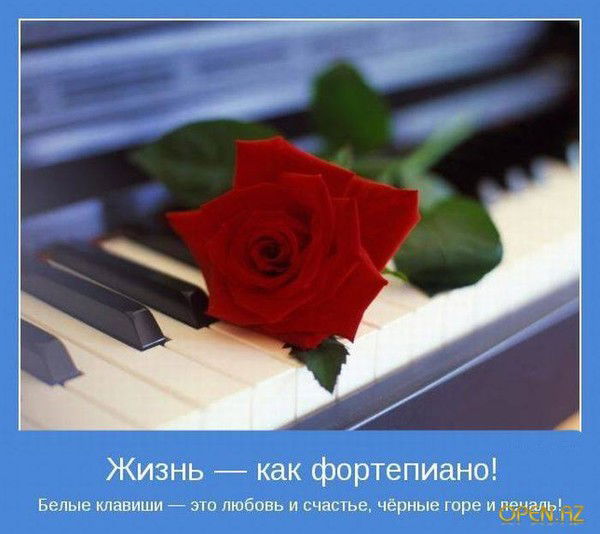 Анюта *********