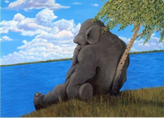 Александр Степура