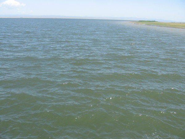 Айнур Маушанова-Ибраева