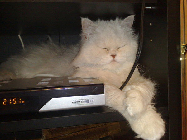 Куанай Икзеков