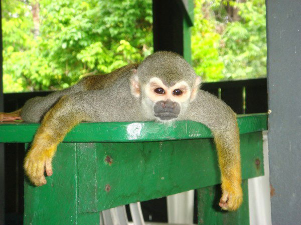 Денис Башкиров