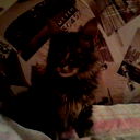 Илья Горшков