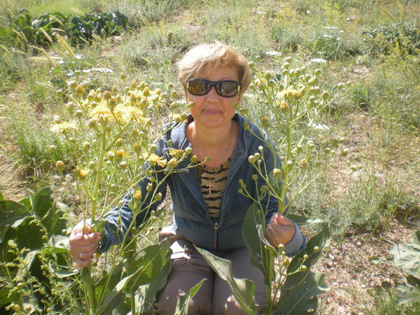 Людмила Литвишко (Шмелькова)