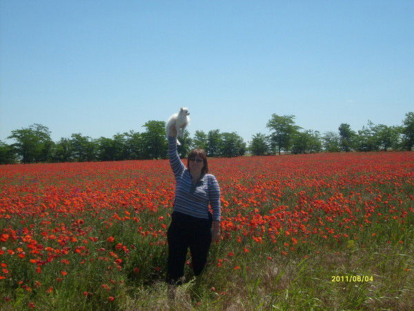 Irina Васюткина(Червов