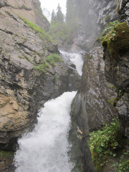 Кристина Осипова