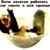Володя Агеев