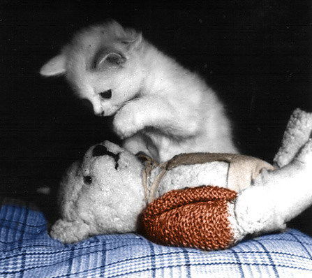 Артём Закиров