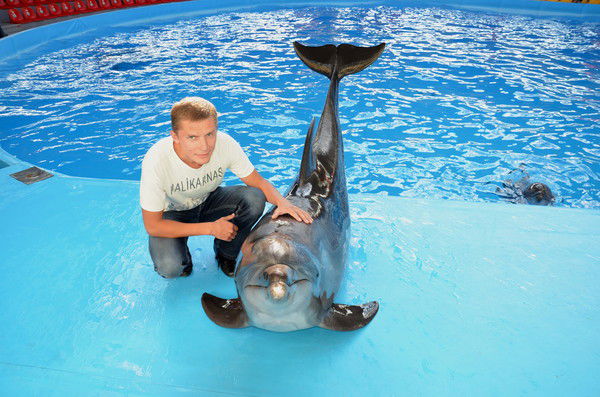 Александр Лежнев