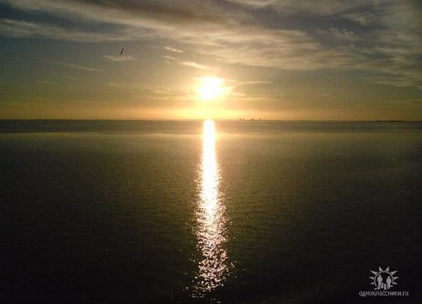 Татьяна Николаевна