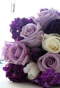 Шахноз Валиахметова