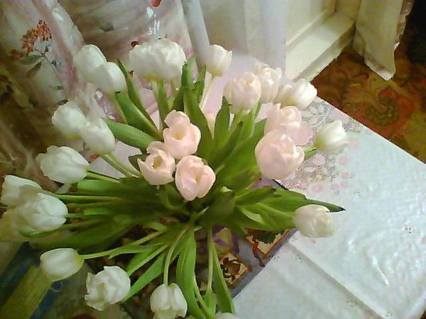 Мария Шейкина