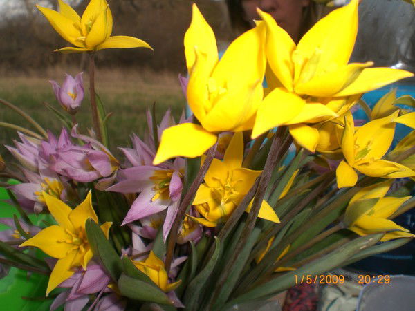 Юлия Суббота