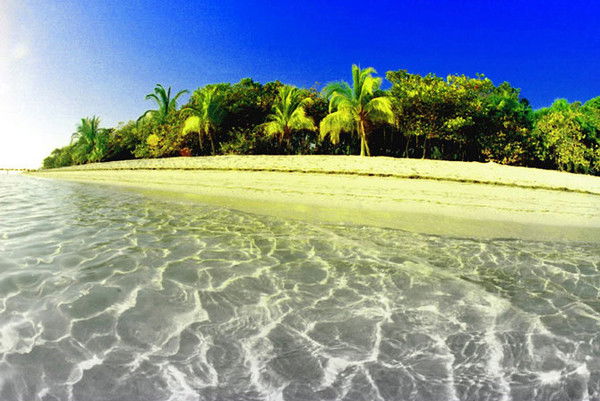 Светлана Дощанова