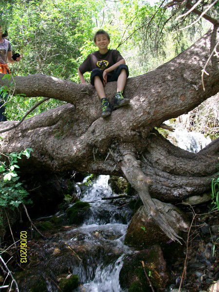 Кирилл Перфильев