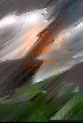 Ирина Хоменко