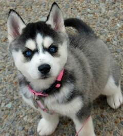 Елизавета Попова