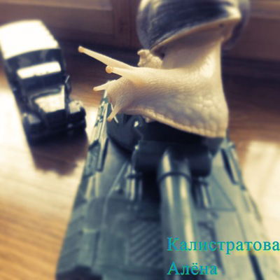 Алёна Калистратова